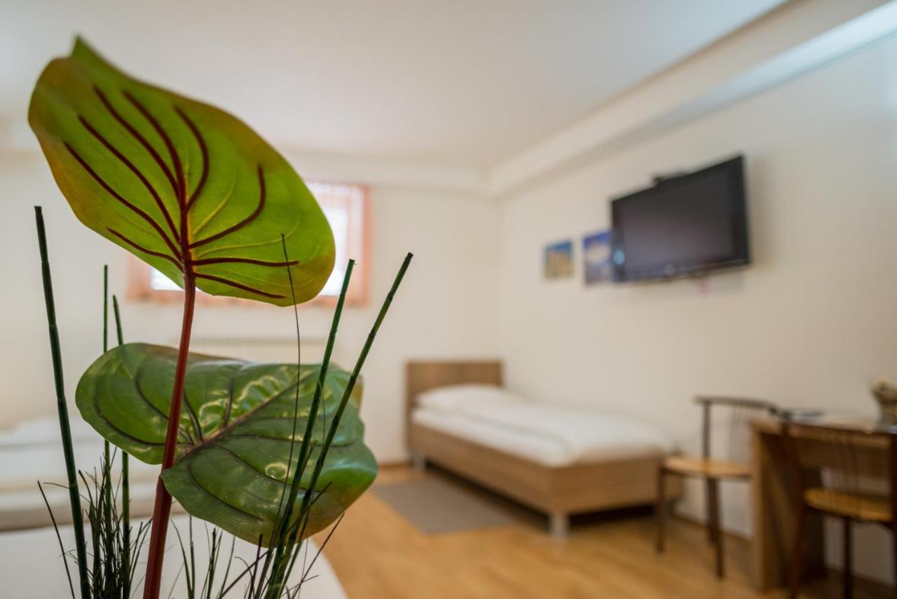 Guest House Mlada Lipa Марибор Екстериор снимка